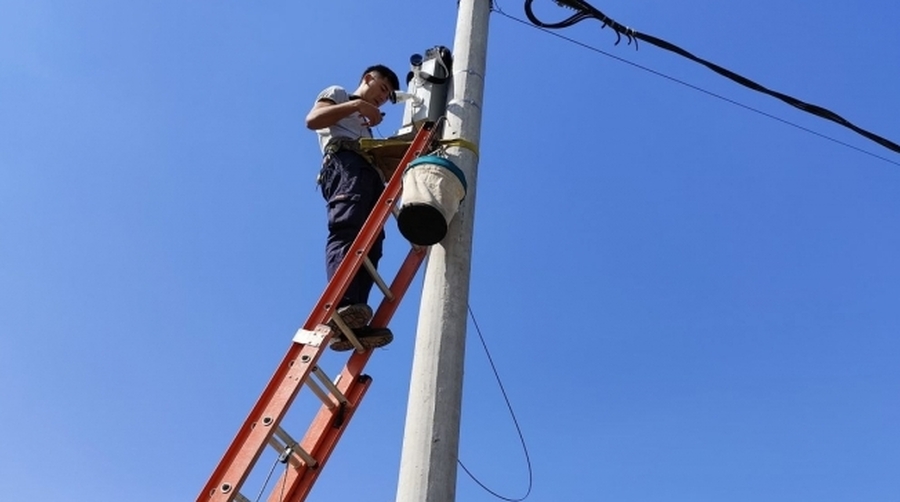 Tareas De Mantenimiento Del Sistema De Monitoreo