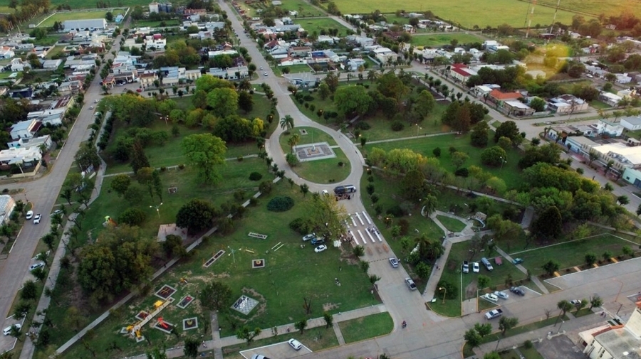 Resultados Del Censo Del Arbolado