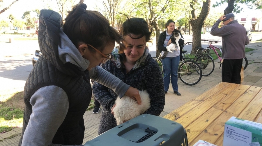 Vacunación Antirrábica