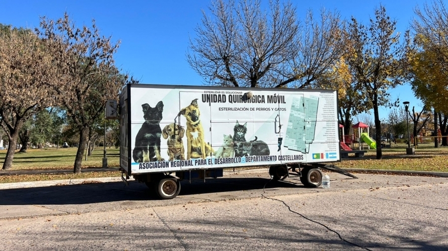 Campaña De Esterilización De Mascotas