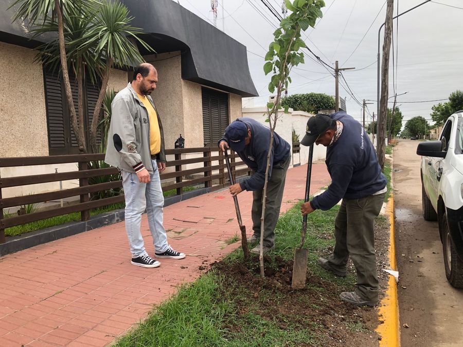 FINANCIAMENTO PARA FORESTACIÓN